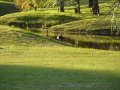 Linda imagen del campo de golf "José Jurado"