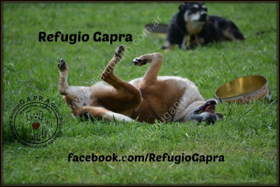Refugio Gapra Refugio Gapra