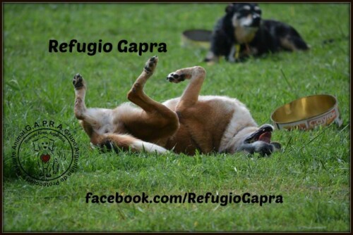 Refugio Gapra