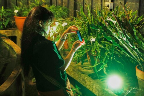 La Noche de los Jardines, en el Jardín Botánico